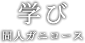 学び 間人ガニコース