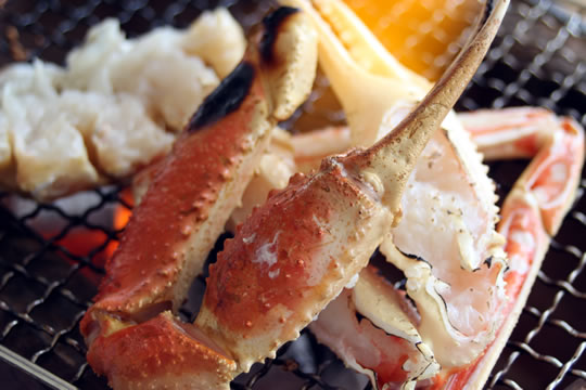 訪れ　ズワイガニフルコース