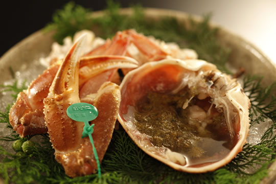 学び　間人ガニフルコース