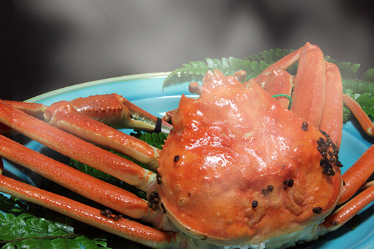 祈り　間人番ガニコース